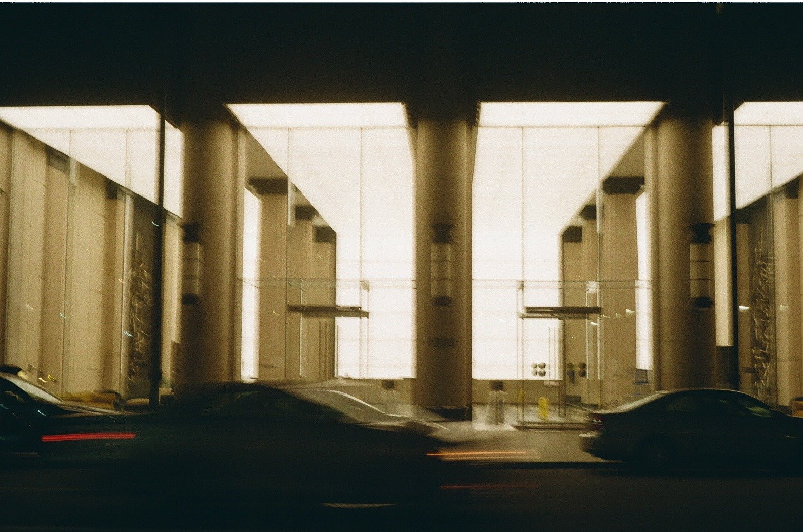 Photograph by Will Arevalo