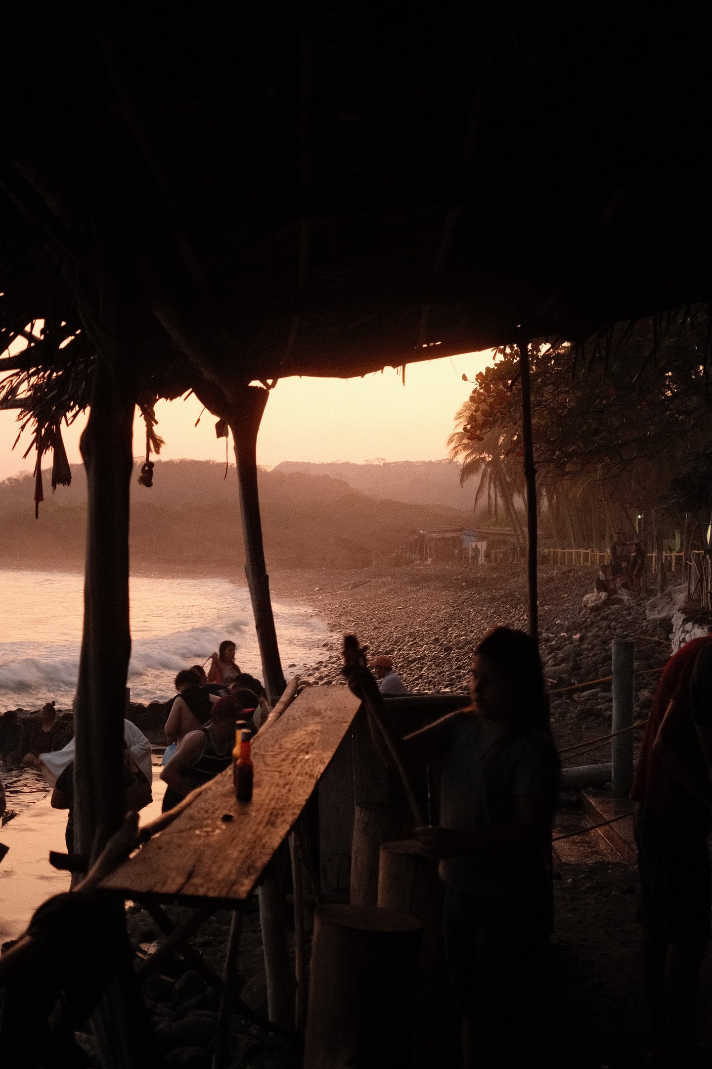 Photograph by Will Arevalo
